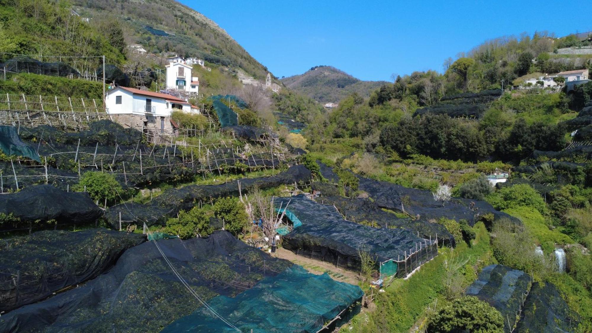 Appartement Antica Cartiera Sant'Elia à Tramonti Extérieur photo